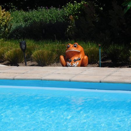 Garden- Pool Flat With Solar Electricity ซัมเมอร์เซ็ต เวสต์ ภายนอก รูปภาพ