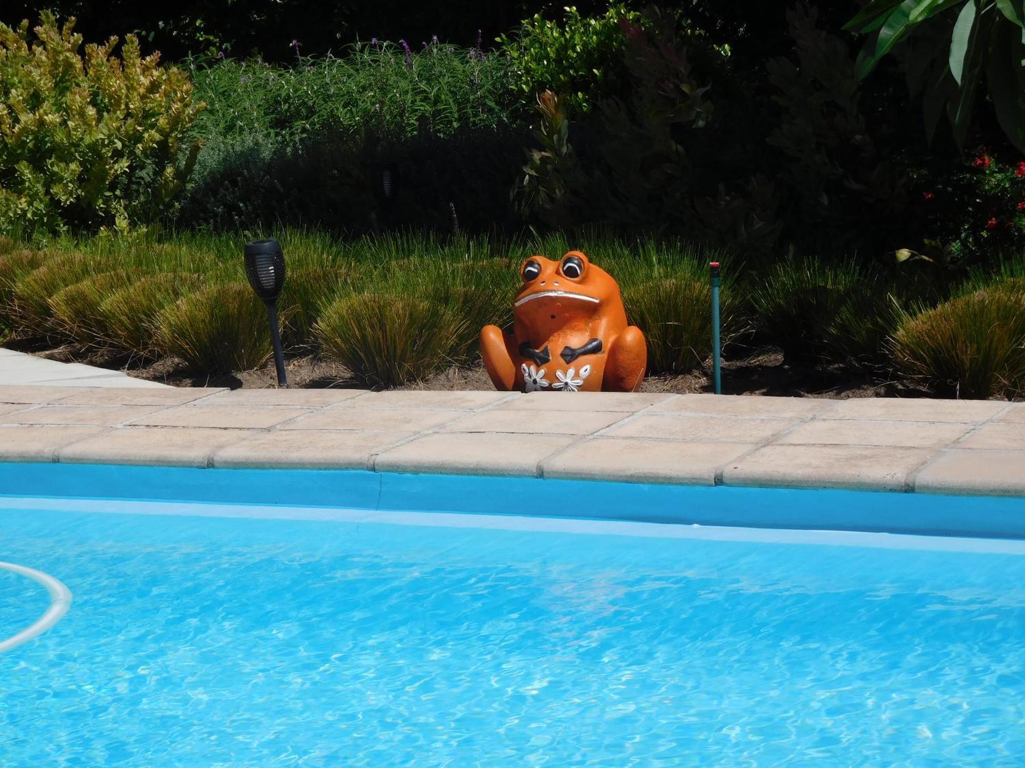 Garden- Pool Flat With Solar Electricity ซัมเมอร์เซ็ต เวสต์ ภายนอก รูปภาพ